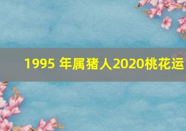 1995 年属猪人2020桃花运